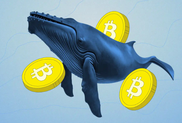 How Crypto Whales Influence Prices