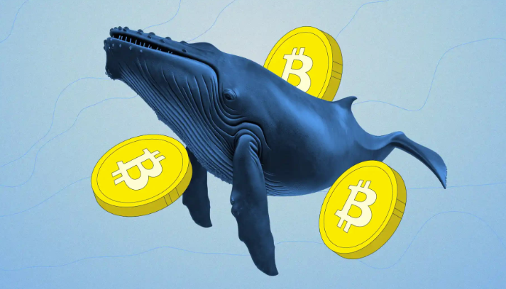 How Crypto Whales Influence Prices